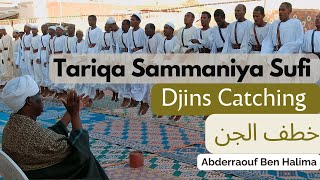 Tariqa Sammaniya Sudan  BENHALIMA ABDERRAOUF الطريقة السمانية في السودان [upl. by Sinclair]