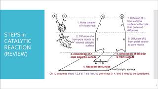 LEC 04 Kinetics of catalytic reactions  part 01 [upl. by Irihs]