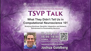 Joshua Goldberg  What They Didn’t Tell Us in Computational Neuroscience 101 TSVP Talk at OIST [upl. by Adnaval]