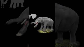 Platybelodon Elephants Ancient Cousins [upl. by Flita]