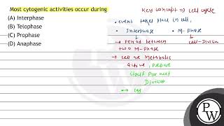 Most cytogenic activities occur during A Interphase B Telophase C Prophase D Anaphase [upl. by Jaquith650]