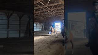 fyp short viral horses equestrian [upl. by Lahcar]