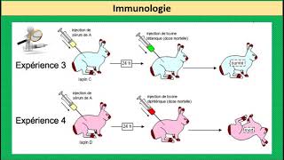 exercices immunologie le systeme immunitaire svt bac 2022 QCM [upl. by Hsinam]