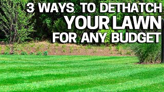 Improve your Lawn with Dethatching  3 Ways How to do it for Any Budget [upl. by Dalis749]