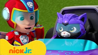 PAW Patrol  Nieuwe teams met de Cat Pack en Mini Patrol  Nick Jr Nederlands [upl. by Lanam]