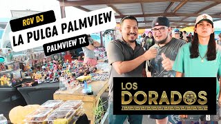 Nos Encontramos A Los Dorados En La Pulga De Palmview [upl. by Anaoy]