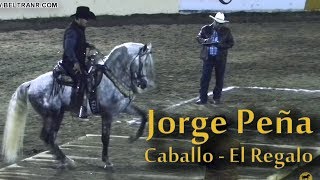 Caballos Bailadores Cat A  6  Feria G Culiacan [upl. by Belding]