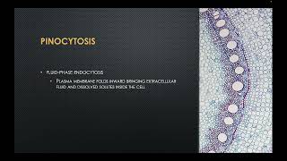 Endocytosis and Exocytosis [upl. by Briana]