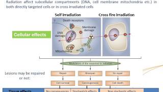 IAEAESNM Webinar  Basic Principles of Radionuclide Therapy and Common Clinical Applications [upl. by Lorain]