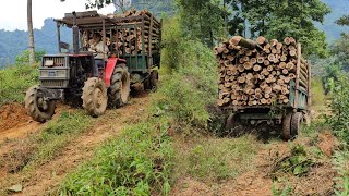 an adventurous job driving a tractor up the hill carrying logs [upl. by Eng]