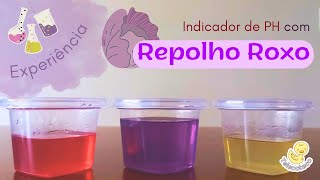 Indicador de PH com Repolho Roxo Experimento  Telecoteco [upl. by Niuqauj]