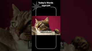 Todays words오늘의 단어  advanced learners 18 vocabulary advanced 영어단어 [upl. by Nalyak]
