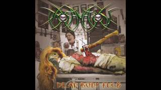 Profanation  Dead Body Fuck 2005 Full Album HQ Deathgrind [upl. by Ainevuol]