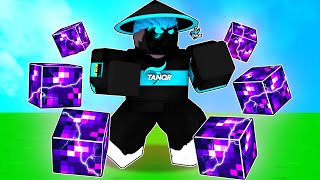 When TanqR uses the TERRA KIT in Roblox Bedwars [upl. by Mellins294]