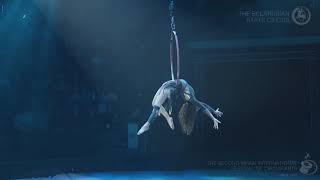 Dorato Circus  Alisa Shehter  Aerial hoop  Minsk circus festival 2019 [upl. by Nylynnej]