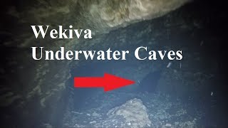 Wekiwa Springs Underwater Cave Exploring [upl. by Noyad]