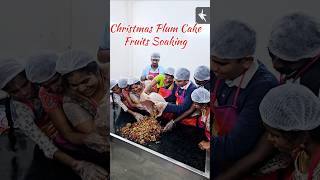 Christmas Fruits Soaking ytshorts christmasfruitssoaking plumcake christmascake funvideo cake [upl. by Tierell]