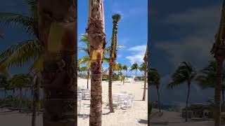 Cancun Beautiful Beaches shorts beautiful nature [upl. by Enileme916]