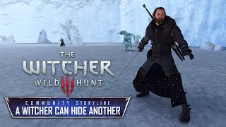 The Witcher 3 A Witcher Can Hide Another A Community Storyline Spoilers Alert [upl. by Peers593]