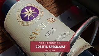 Il Sassicaia di Bolgheri  Storia e successi [upl. by Emiolhs]