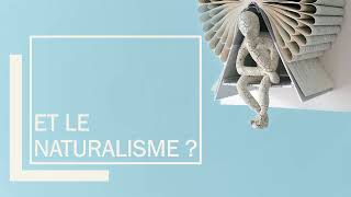 NATURALISME ET REALISME  16 minutes pour tout comprendre [upl. by Dilly102]