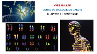 Chapitre 3 – Génétique  Cours de Biologie du DAEUB [upl. by Bethena812]