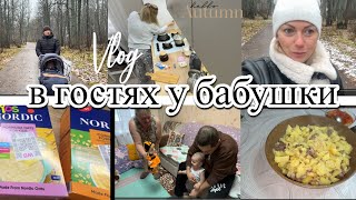 VLOG Мама НАКОРМИЛАГуляем в НЕПОГОДУОтдали СЫНАМотивация НА УБОРКУ [upl. by Aihsas561]