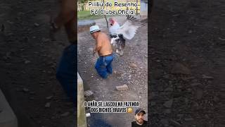 Pililiu da Resenha toma surra dos animais na fazenda pililiudaresenha humor comedia memes [upl. by Nedda563]