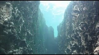 Freediving the No Mount Cave at Wekiva [upl. by Airetahs]