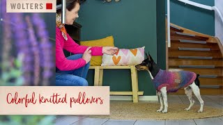 Colorful dog sweaters from WOLTERS [upl. by Mcwherter]