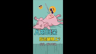 把人的耳朵，放在老鼠身上？会发生什么……聚猿创团队 [upl. by Elephus]