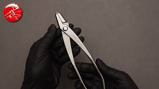 TianBonsai Professional Series Jin Pliers [upl. by Mcgruter]