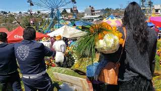 dia de todos los santos en romerillo [upl. by Enelyt737]