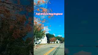 Fall drive in New England 🍂🍁 fall foliage leaves shorts newengland driving leafpeeping RI [upl. by Nicoline]