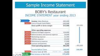 Income statement explained [upl. by Annaillil]