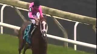 Keeneland Sales Graduate Spotlight CATCH A GLIMPSE [upl. by Tanitansy]