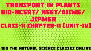 BiologyTransport in PlantsEpisode8Ch1111th NCERTNEETUG 202122AIIMSJIPMERPlant Physiology [upl. by Crutcher]