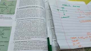 Chapter 19 Protein metabolismLippincottTransamination Reaction Part 1 [upl. by Dahlia]