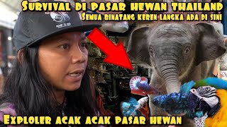 DEDE INOEN ACAK ACAK PASAR HEWAN DI THAILAND [upl. by Ylla]