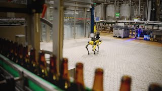 Spot at AB InBev Belgium  Boston Dynamics [upl. by Annahael]