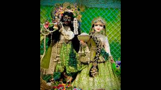 🙏🌹Vrindavan mein Hukum chale Radha Rani ka 🌹🙏love radhekrishn shortvideo  youtube video [upl. by Heisser]