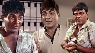 Mehmood Back 2 Back Comedy Scenes 🤣🤣  DO KALIYAN  मै हमेशा दुम की तरह चिपक के साथ में रहता हूँ 😆 [upl. by Edgardo]