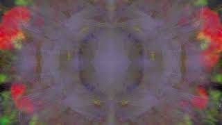 TAG04∞4597∞ Mindwave Mandala 20 mins [upl. by Nanreik160]