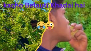 Gau ma kacho Belauti khadai hai tw ❤️💐 galkotbaglung foryou youtube [upl. by Hairahcaz354]