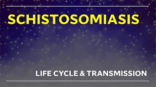 SCHISTOSOMIASIS LIFE CYCLE and TRANSMISSION A Z [upl. by Dnalyag]