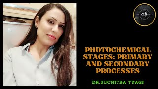 PHOTOCHEMICAL STAGES PRIMARY AND SECONDARY PROCESSES [upl. by Vachil654]