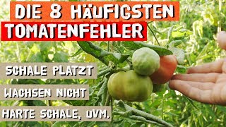 Die 8 häufigsten Fehler beim Tomatenanbau [upl. by Analise]