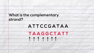 Practice writing the complementary strand of DNA and mRNA during transcription [upl. by Veno824]