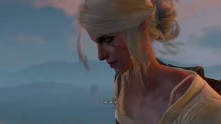 The Witcher 3 Wild Hunt Bald Mountain Imlerith Fight [upl. by Eniamraj583]