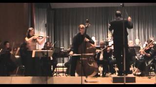 Giovanni Bottesini  Gran Duo Concertant Full [upl. by Enimisaj72]